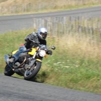 Steve Manning的照片