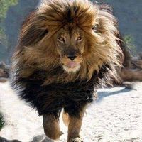 Photos de Alex Andrew