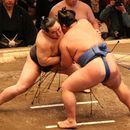 Going For A sumo Tournament 's picture