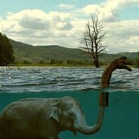 Andreea Lazar's Photo