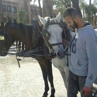 rouaini ayoub的照片