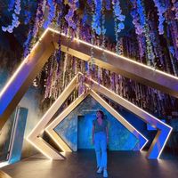 Le foto di Elisa Lopez