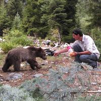 Netanel Idjikovsky的照片