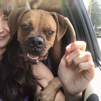 Brigitte Reardon的照片