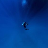 Patrick Smithson的照片