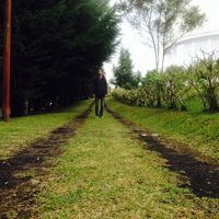 axel  fredrik的照片