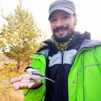 Alexey Ovchinnikov的照片