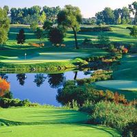 Mohammad Reza's Photo