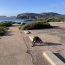 Perth - Broome 's picture