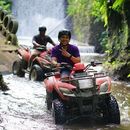 ATV Quad Bike In Ubud 's picture