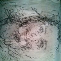 Photos de Gerardo Barba