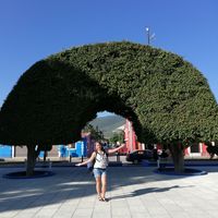 Fotos de Michelle Llama