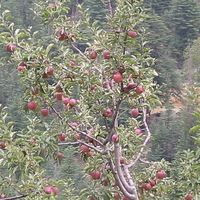 Shalini Srivastava's Photo