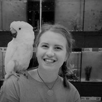 Kateřina Fialová's Photo