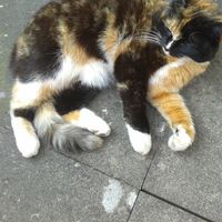 Alisa Lawrence's Photo