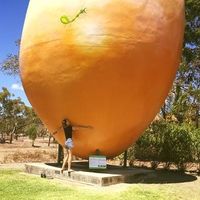 Lauren Eddy的照片