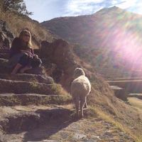 Heather Young's Photo