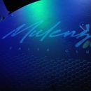 Noche De Salsa's picture