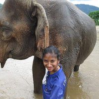 Nabeela Irfan's Photo