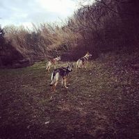 Michelle Stephens's Photo