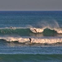 pablo sanchez's Photo