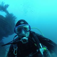 Paul Quentin的照片