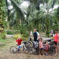 garlenq celine的照片