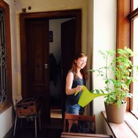 Lisa Bauchinger's Photo