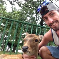 Afik Schaumberger's Photo