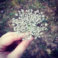 İlknur Tuzcu's Photo