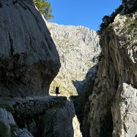 Alice Pereira de Almeida's Photo