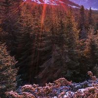 Фотографии пользователя .