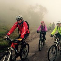 Marco Rojas的照片