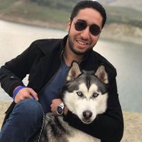 Fotos von Amr Dahroug