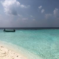 Ying-Su Chen的照片