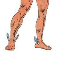 Fotos de Fernando Hernández