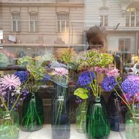 Nazgol Sobhani's Photo