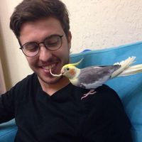 Le foto di Maksym  Cherednichenko