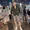 Mahmoud Shohaieb's Photo