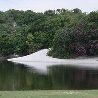 Joni Rivilla的照片