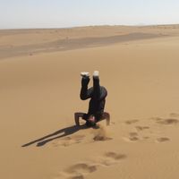 Mohamad Fallah的照片