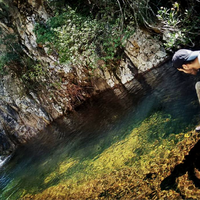 Andrea Ambus的照片