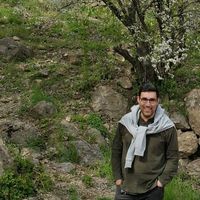 Amirhosein Azizi的照片