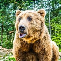 Taras Kumpanenko的照片