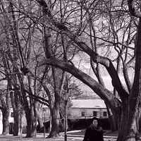 Lada Calendula's Photo