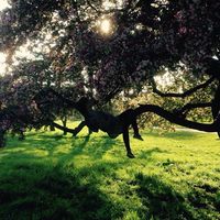 Fotos von Sarah Pope