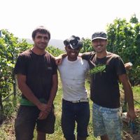 Mark Hernandez's Photo