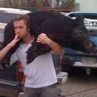 William Corke's Photo