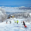 ski or snowboard and onsen in nozawaonsen's picture