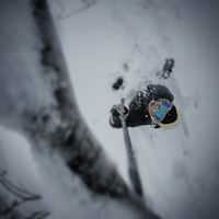 Terumi Suzuki的照片